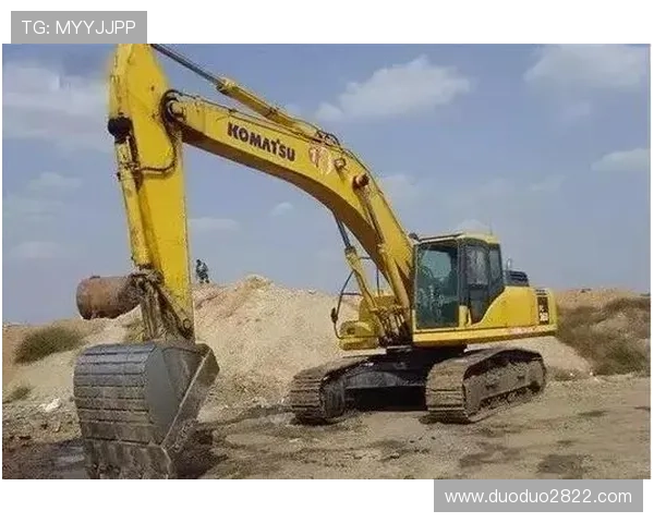 本落台开奖结果最新公布与走势分析 本落台开奖结果最新公布与走势分析